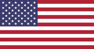 american flag-Maple Grove