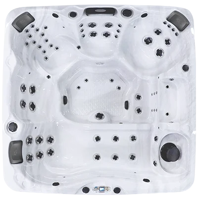 Avalon EC-867L hot tubs for sale in Maple Grove