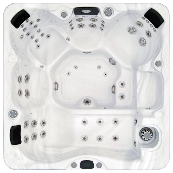 Avalon-X EC-867LX hot tubs for sale in Maple Grove