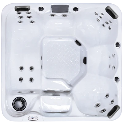 Hawaiian Plus PPZ-634L hot tubs for sale in Maple Grove
