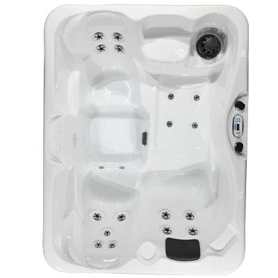 Kona PZ-519L hot tubs for sale in Maple Grove