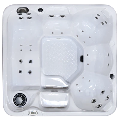 Hawaiian PZ-636L hot tubs for sale in Maple Grove